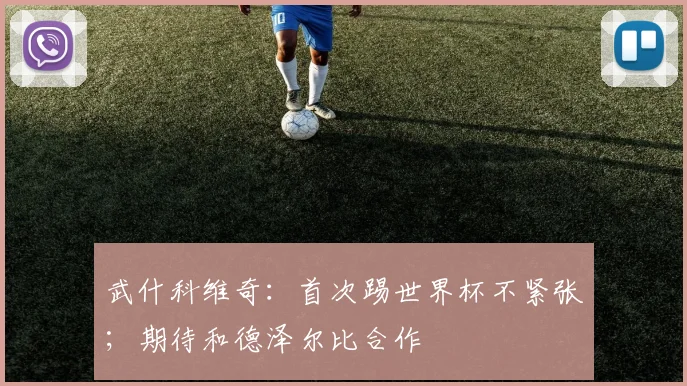 武什科维奇：首次踢世界杯不紧张；期待和德泽尔比合作